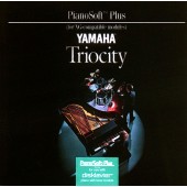 Triocity - Sue Downs
