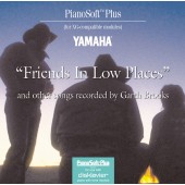 Friends in Low Places and Other Songs Recorded by Garth Brooks