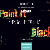 The Rolling Stones - Paint It Black