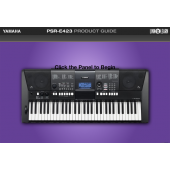PSR-E423 Panel Tour