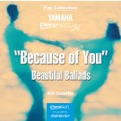 Because of You - Beautiful Ballads