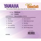 Cher - Believe